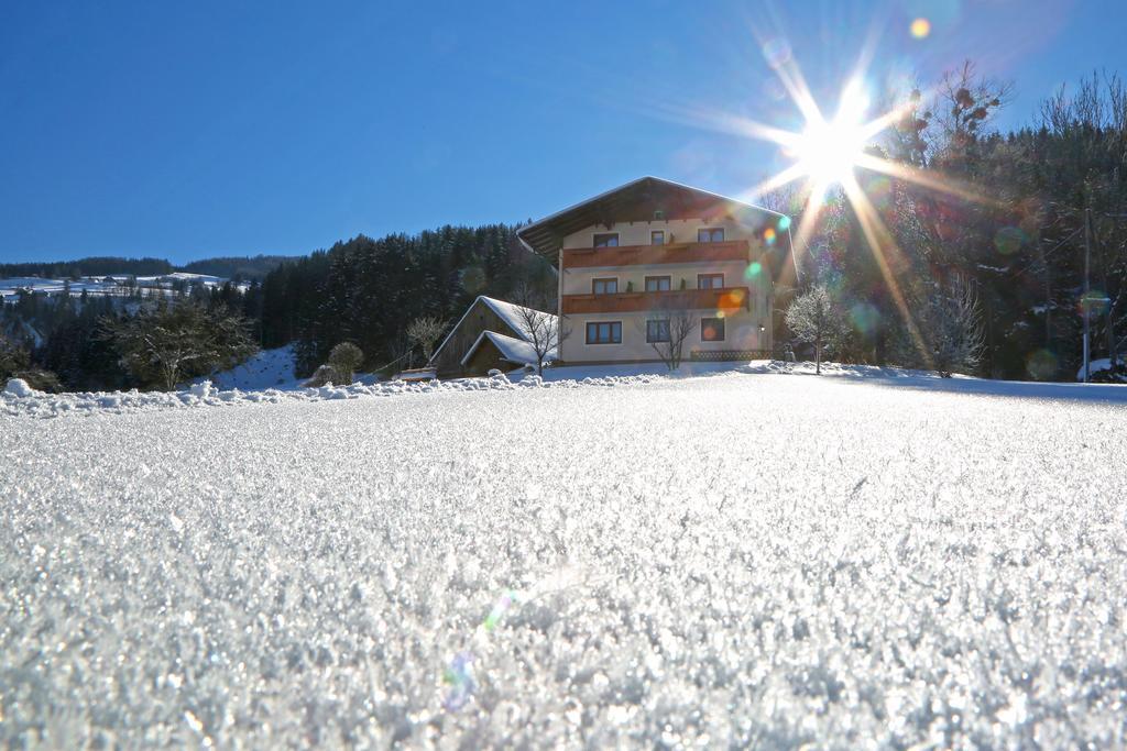 Rosspointnerhof Hotel Haus im Ennstal Kültér fotó